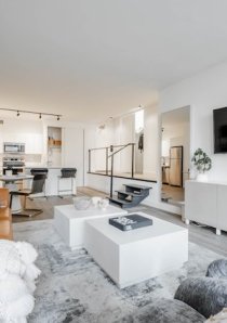 Modern apartment living room and kitchen in Chicago 