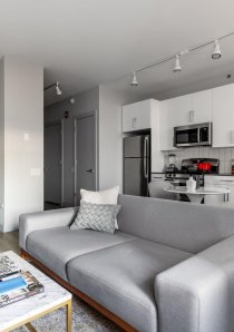 a grey sofa in the living room of a furnished apartment for rent in South Loop, Chicago