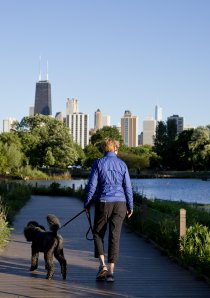 person walking a dog on the nature boardwalk at Lincoln Park Zoo in Chicago