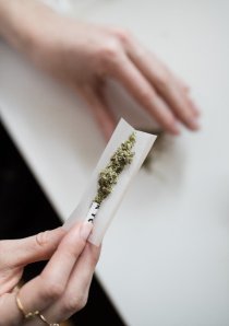 person putting crushed up cannabis flower into rolling paper with a filter