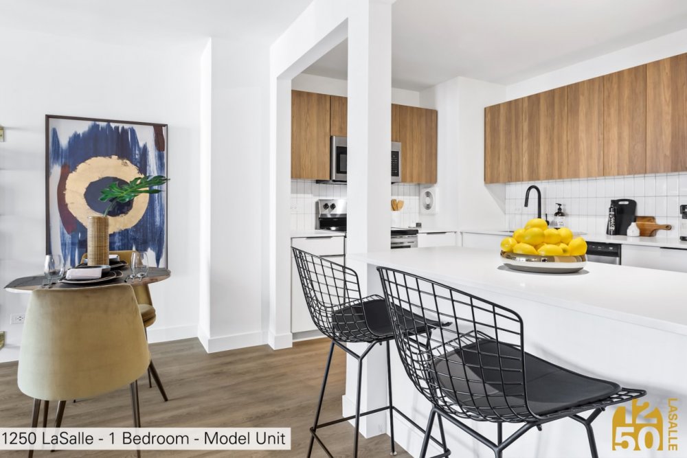 1250 LaSalle Apartments For Rent Chicago Domu