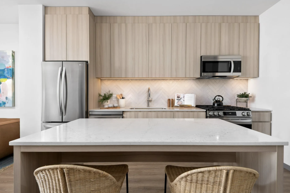 The Lydian Apartments For Rent Chicago Domu