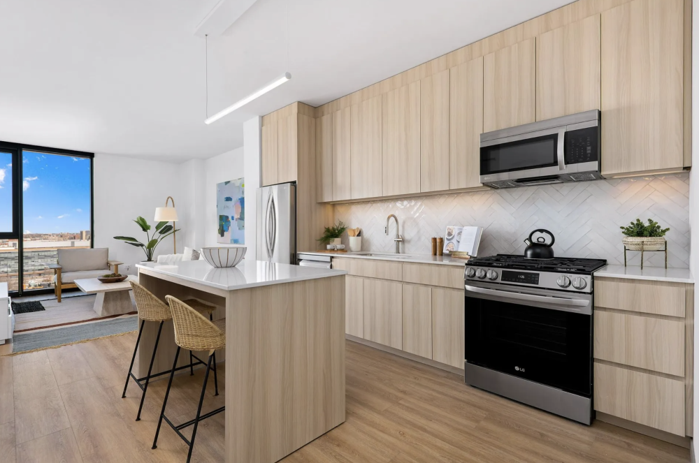 The Lydian Apartments For Rent Chicago Domu