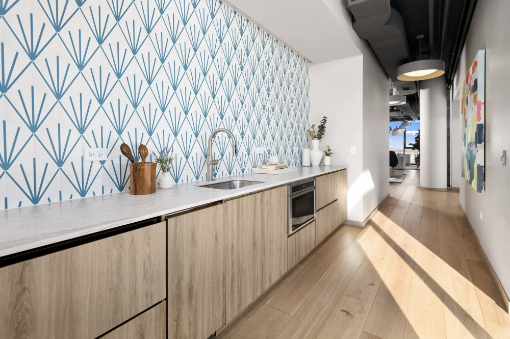 The Lydian Apartments For Rent Chicago Domu