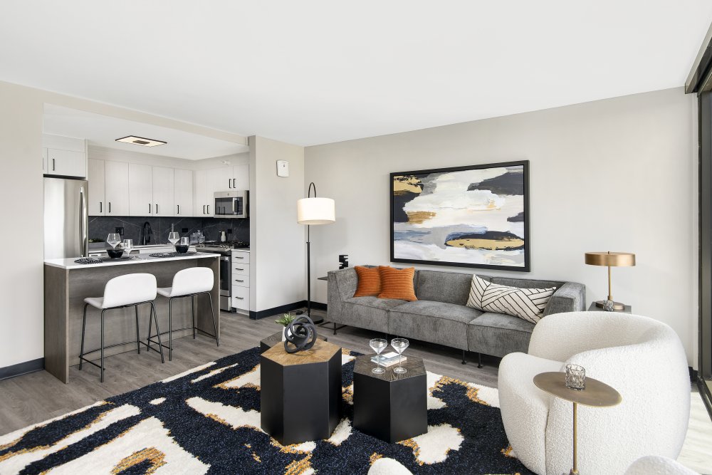 Atrio Apartments For Rent Chicago Domu