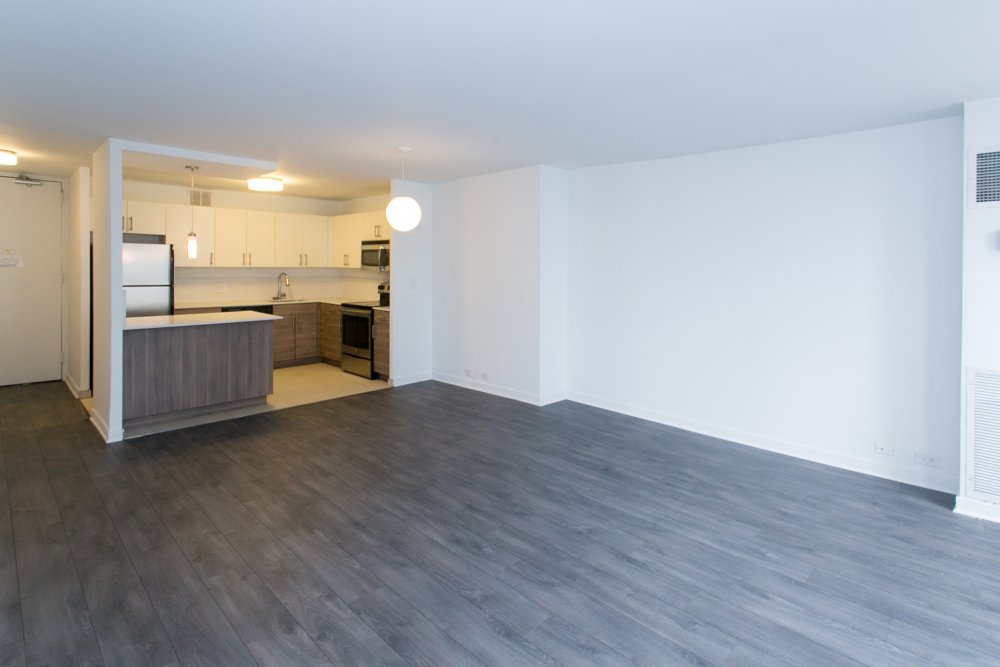 Regents Park Apartments For Rent Chicago Domu