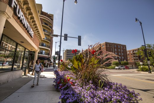 woman walking next to flowers in downtown Skokie Illinois.