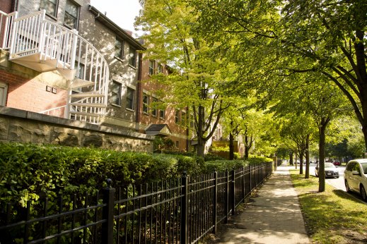 Front lawns of apartments in Douglas Chicago